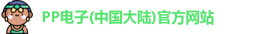 PP电子